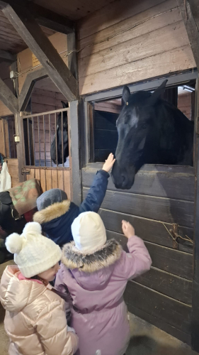 WhatsApp Image 2026-02-23 at 13.21.43 (1)