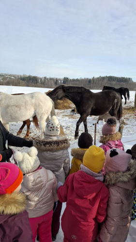 WhatsApp Image 2026-02-23 at 13.21.44