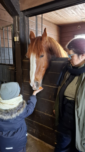 WhatsApp Image 2026-02-23 at 13.21.48