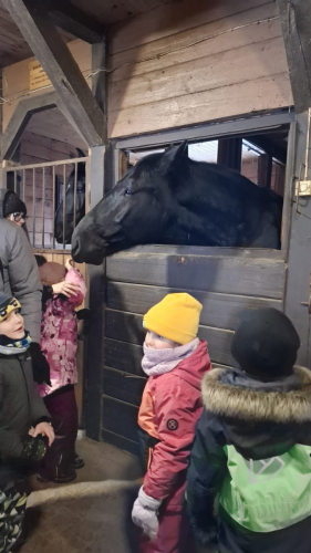 WhatsApp Image 2026-02-23 at 13.21.52 (3)