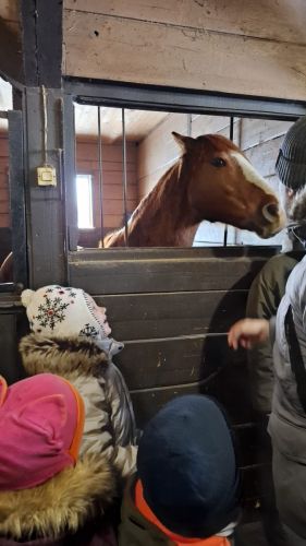 WhatsApp Image 2026-02-23 at 13.21.52 (4)